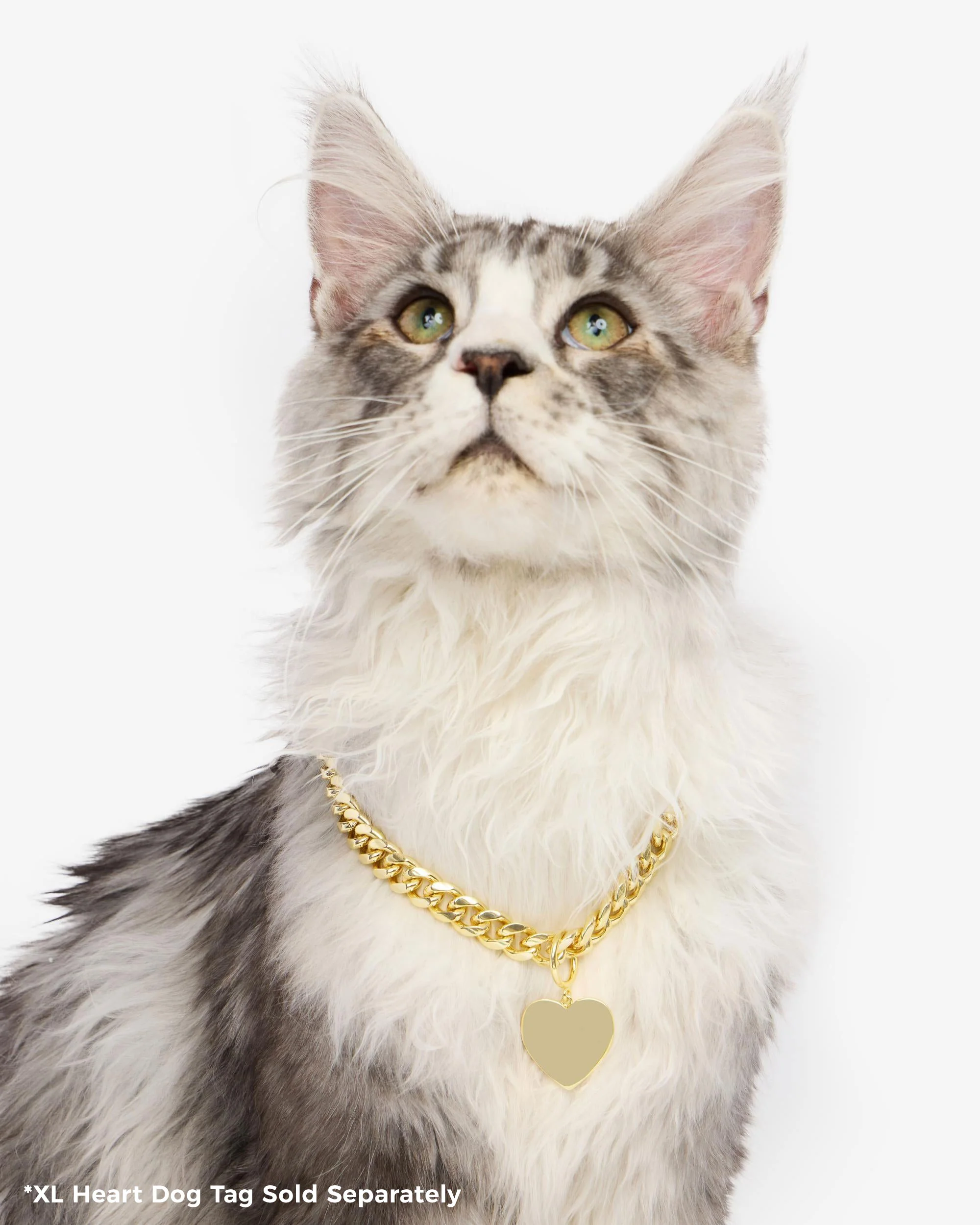 Thor Cuban Chain Pet Necklace 10.8mm - Gold