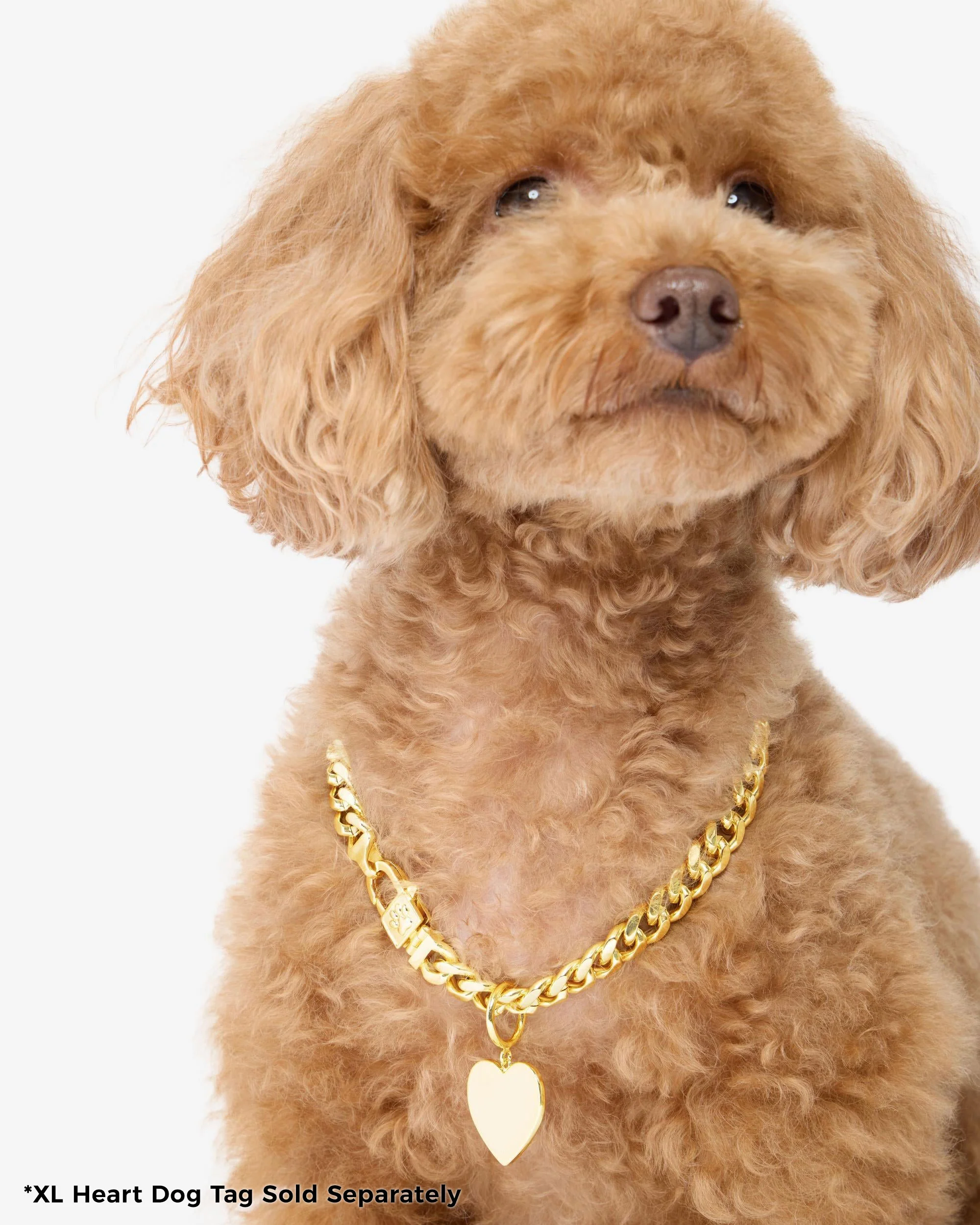 Thor Cuban Chain Pet Necklace 10.8mm - Gold - Image 8