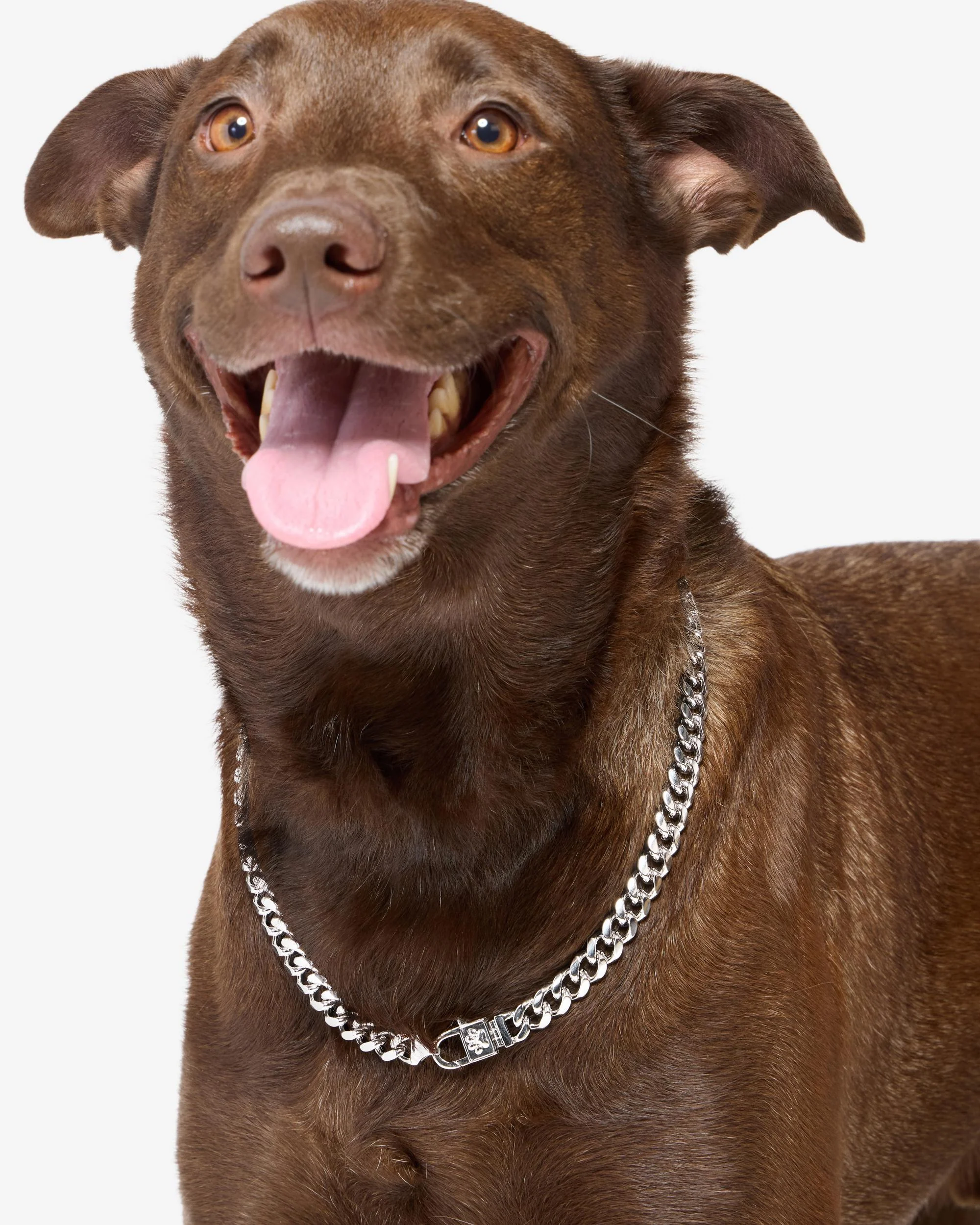 Thor Cuban Chain Pet Necklace 10.8mm - Silver - Image 11