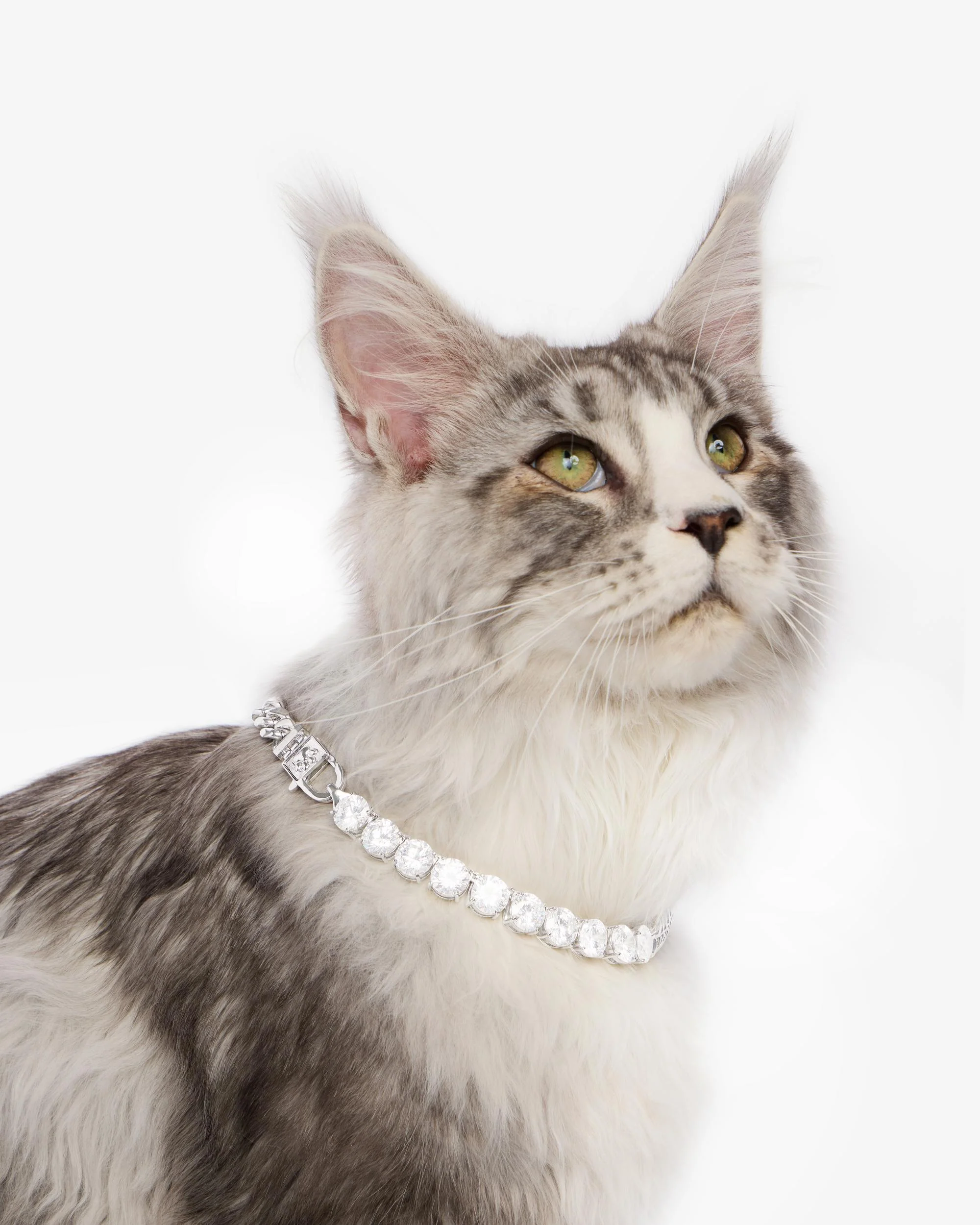 Thor Loves Diamonds Pet Necklace - Silver|White Diamondettes - Image 5